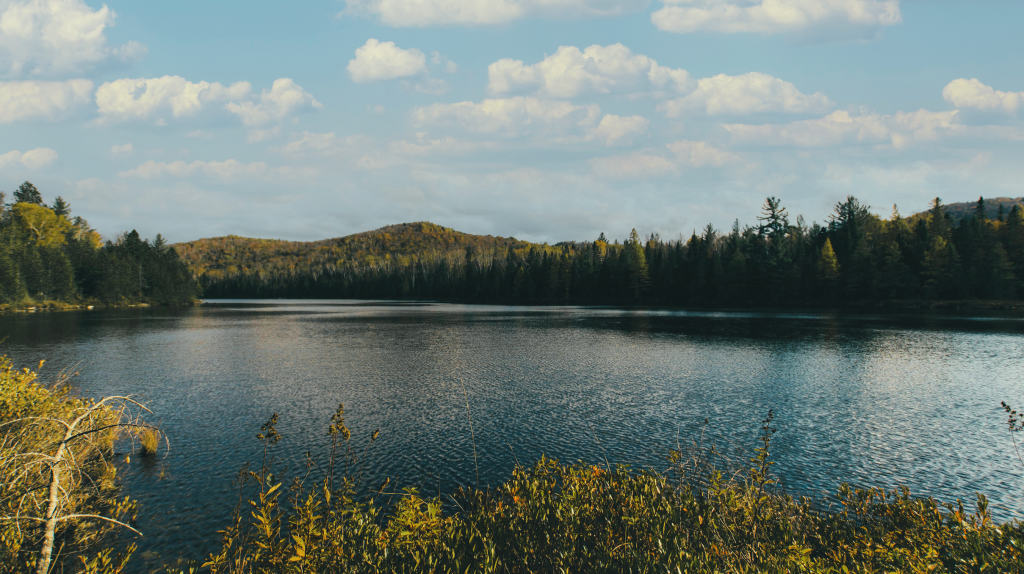 Calm lake surrounded by dense forest with hills in the background under a partly cloudy blue sky